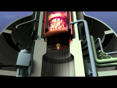 Fukushima - Chronik eines Desasters