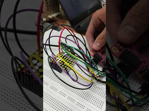 Project 14 - bonus - big head version