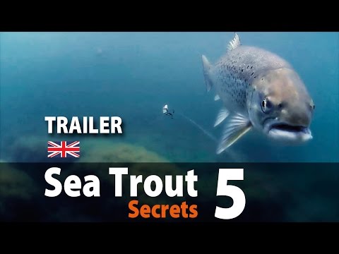Sea Trout Secrets 5 Spin fishing • Trailer