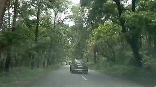 preview picture of video 'UK Forest in Kaladhungi'