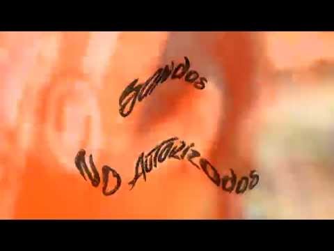 FESTIVAL NO AUTORIZADO!! DOMNGO 9/11 desde las 14hs