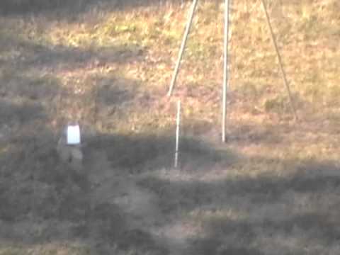 sdr 70 durbin 500 yrd test