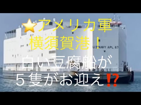 #アメリカ軍#大◯逮◯者#白い豆腐５丁⭐️白い豆腐船横須賀港に５丁お迎え！