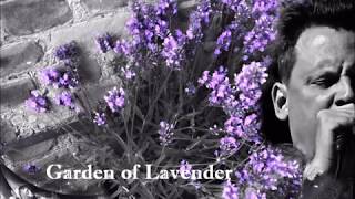 Sun Kil Moon - Garden of Lavender (live in Padova, Italy)