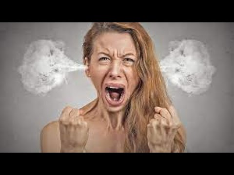 Metsolan Metsäkoulu 247 - Mitä ekstraa hyvä asiakas voi saada?