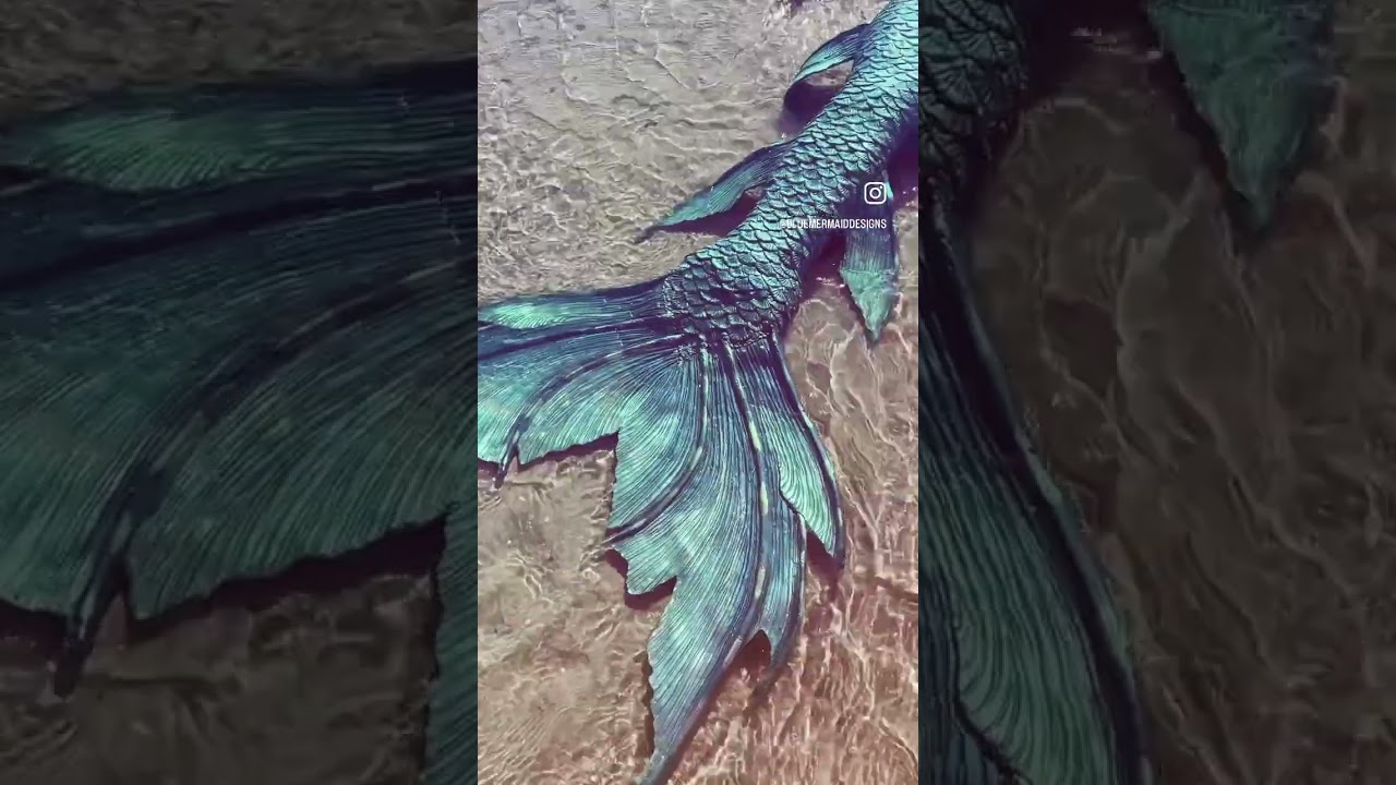 Promotional video thumbnail 2 for Blue Mermaid Designs