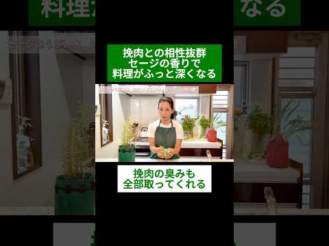 医療ビジネス薬科学科 🌿挽肉との相性抜群 セージの香りで料理がふっと深くなる🌿#shorts #ハーブ #体質改善 #セージ