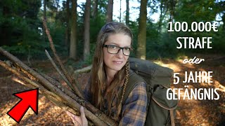 🌳100.000€ Höchststrafe ⁉️ Holz im Wald sammeln..So machst du´s legal⛔Hättest du´s gewusst?🌲