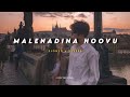 Malenadina hoovu nee | (slowed + reverb) | Kannada lo-fi | Lovely vibez Kannada