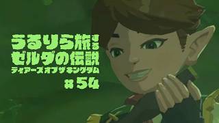 #54 大妖精たちを目覚めさせに…ってこのイベント良すぎませんか【ゼルダの伝説 ティアーズ オブ ザ キングダム Switch2エディション】