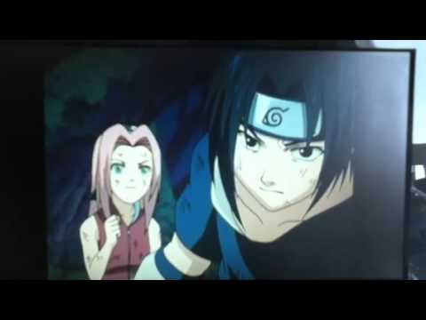 Forest of Death Password