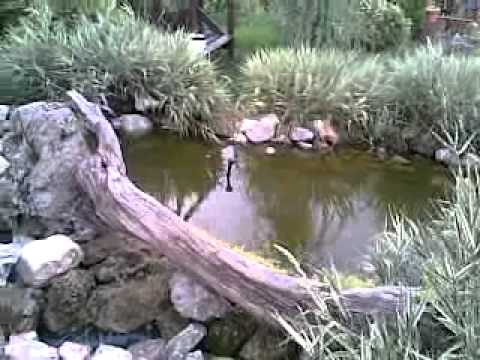 Mos Opinca - un loc deosebit