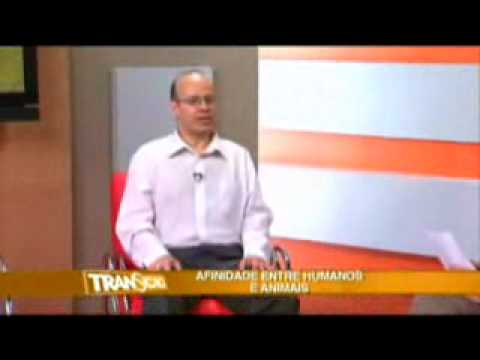Programa Transição  - Animais - Marcel Benedeti 3ª Parte