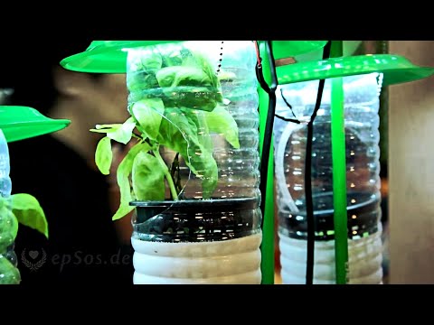 , title : 'Hydroponic Farming System in Plastic Bottles and LED Lamps.'