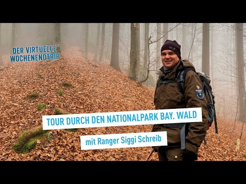 Tour durch den Bayerischen Wald mit Ranger Siggi Schreib – Virtueller Wochenendtrip durch Bayern
