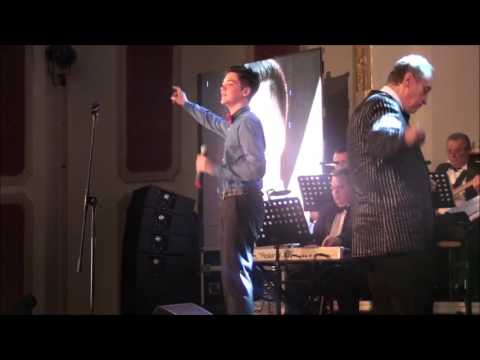 Octavian Brosteanu - Poem