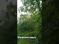 Dehradun Ka Hindisong Shorts