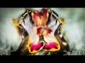 Cuttlefish: Colourful, Camouflaged & Charismatic | Borneo from Below (S01E17)