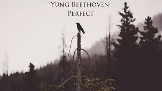 Perfect Music Video
