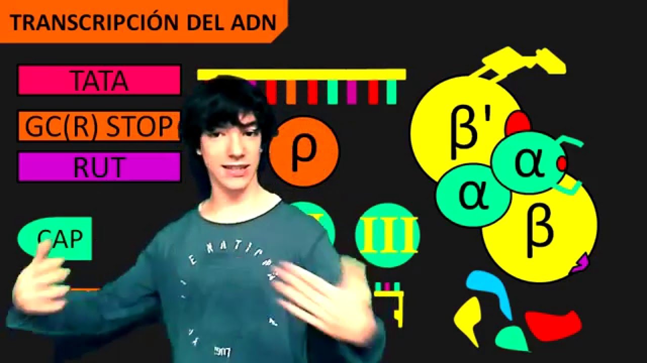 Elementos de Transcripción VERSIÓN MEJORADA