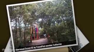 Sherwood Forest - Nottinghamshire, England, United Kingdom