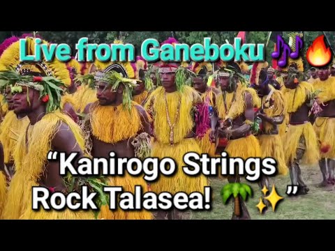 Kanirogo Stringband Live Performance | Ganeboku Vibes at Talasea, WNBP @RealPNGCulture 
