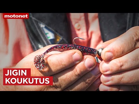 Jigin koukutus oikein | Motonet-jigiopas