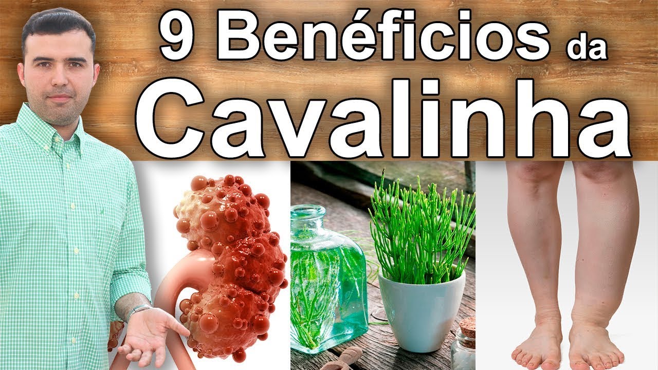 Para Que Serve a Cavalinha - Propriedades e Benefícios Para a Saúde Renal, Urinaria, Sangue e Ossos