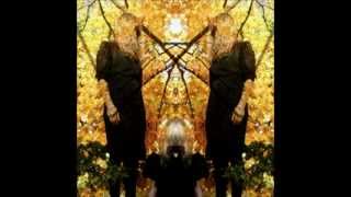 AUSTRA - Young &amp; Gay