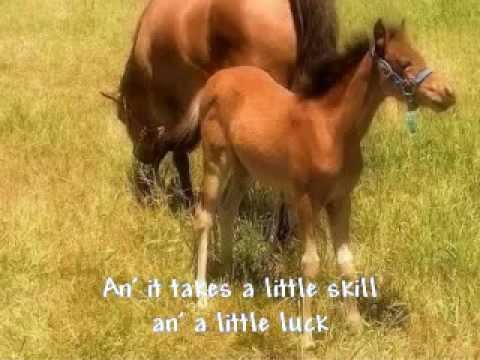 Ropin' Pen by Trent Willmon (Horse Photos!) Cowboy Song
