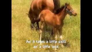 Ropin&#39; Pen by Trent Willmon (Horse Photos!) Cowboy Song