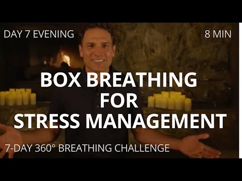 Box Breathing for Stress Management - |DAY 7 PM of 360° Breathing| - Decrease Anxiety