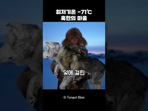 최저기온 -71℃ 혹한의 마을