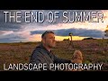 5 IMAGES | SUMMER LANDSCAPE PHOTOGRAPHY | THE NEW FOREST