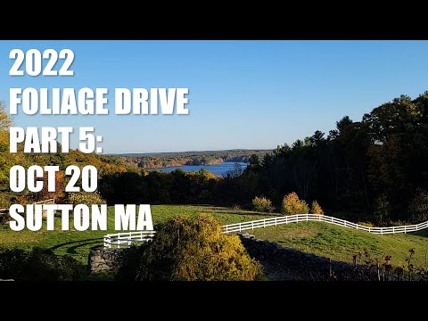 Autumn Foliage Leaves in Sutton Massachusetts 2022 - with Northbridge