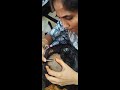 HEADSHAVE WITH SCHOOL GIRL First Experience With Headshave