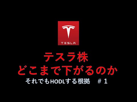 「ユニークな連敗」:テスラ株は40%以上下落