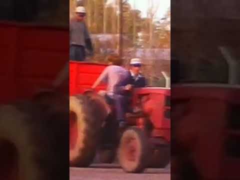 26 de mayo de 2025