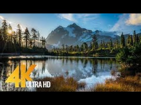 8 Hours of Birds Singing on the Lakeshore and Water Sounds   Relaxing Nature Sounds   Mount Shuksan