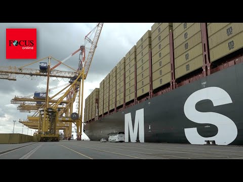 Rekord-Fachter „MSC Michel Cappellini“ getauft: Name hat emotionalen Hintergrund