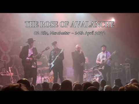 The Rose of Avalanche - Goddess