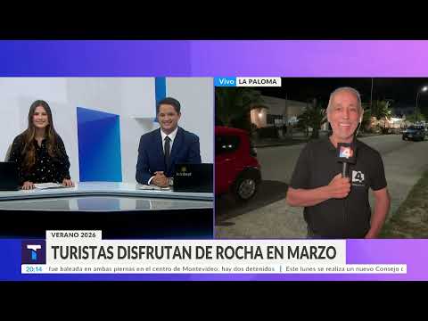 En Telenoche hablamos de un elefante marino el que esta en Puerto de La Paloma