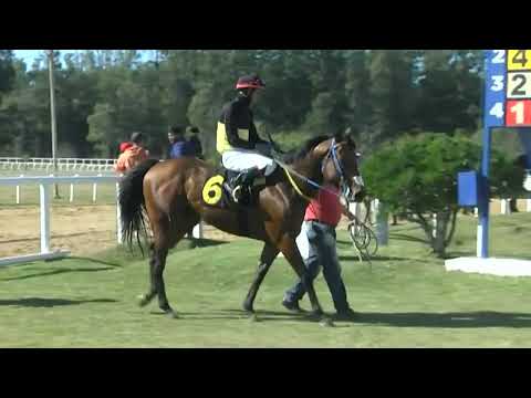 HIPODROMO SINT MELO - 220520 c02 1° JET PICK