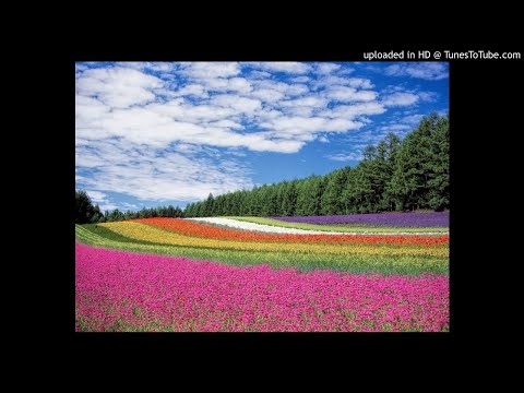 Surah Al-Anbiya - Tafseer 85-88 English