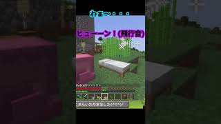 kaela(カエラ)滞在時間わずか15秒！ぺこらにプレゼントを渡すためだけに遠方から滑空！プレゼントおいたらすぐ飛び去るって、カッコ良すぎ！【ホロライブ切り抜き】