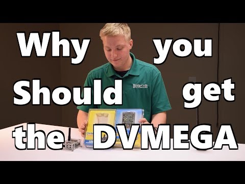 Why you should get a DVMEGA hotspot