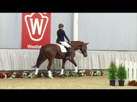 36 Valencia  Stute v.  Vitalis - Arpeggio