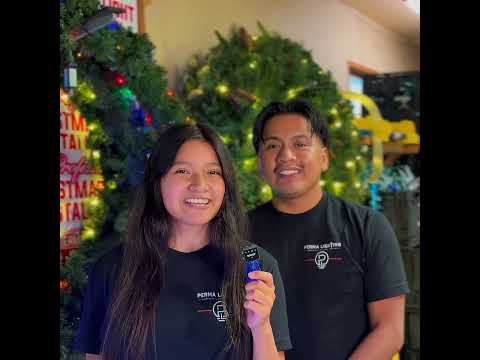 Christmas Lighting Video Preview