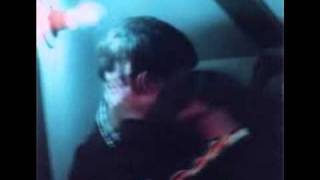 Do You Feel at Home? - Commander Venus