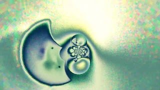 Music to Play every time you repeat yourself -[ 8-27-2015 ]-